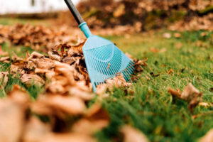 raking leaves