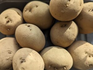 PXL_20240216_113338185