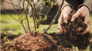 Screenshot 2025-06-20 20.27.47