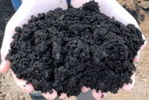 organic-manure_900x organic-manure_900x